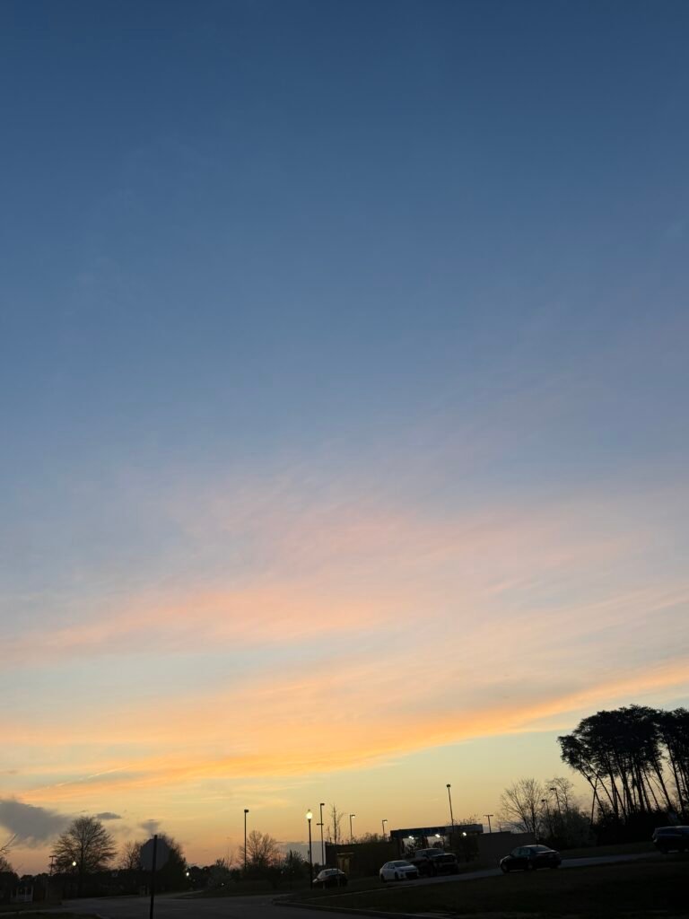 img 7163